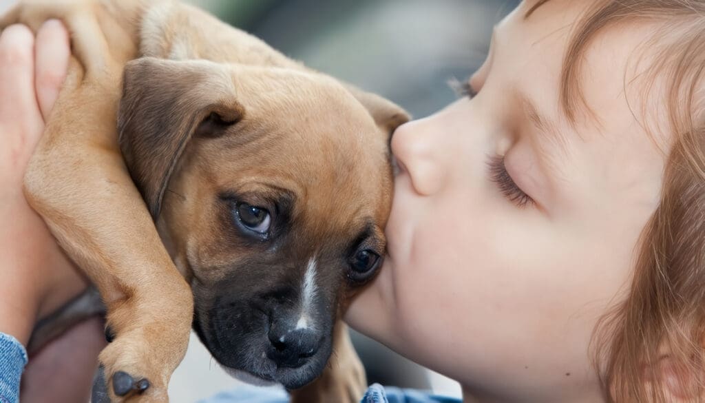 comprar o adoptar mascotas