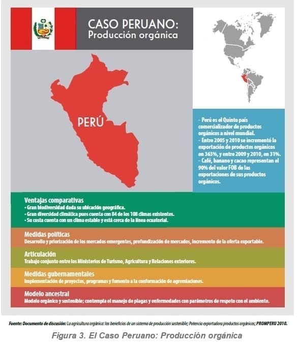El Caso Peruano: Producción orgánica