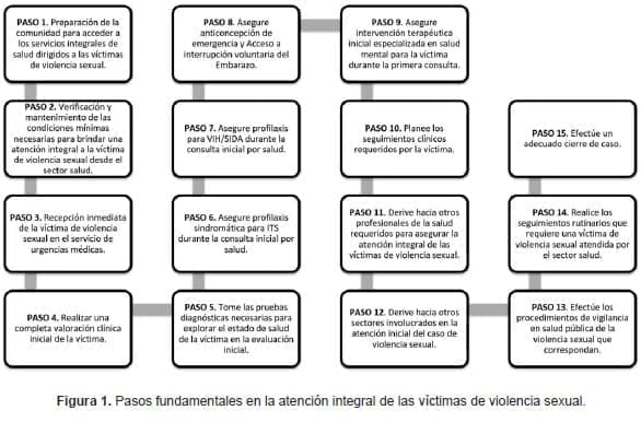 Pasos fundamentales en la atención integral de las víctimas de violencia sexual.