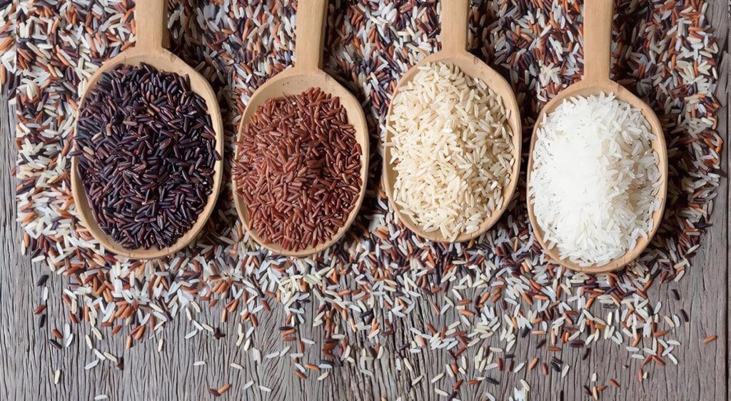 Tipos de Arroz y sus Usos en la Cocina