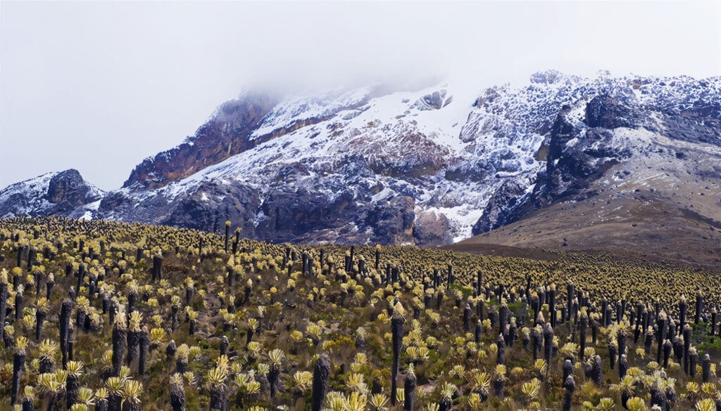 Cordillera Central en Colombia