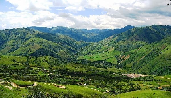 Instituto Global para el Crecimiento Verde