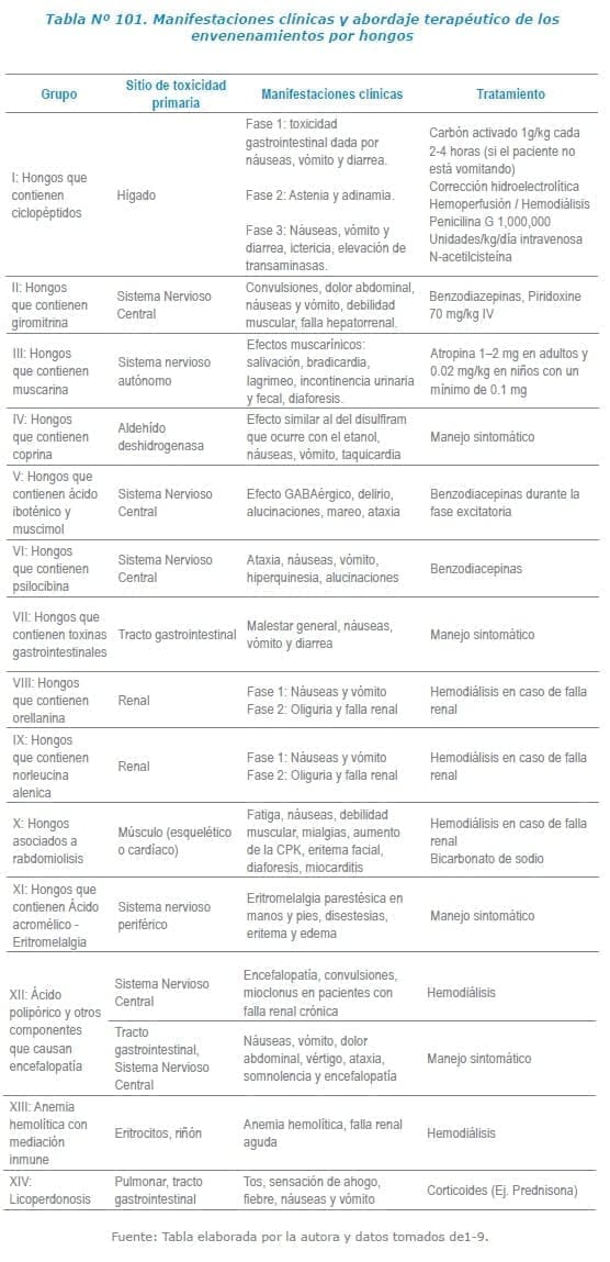 Manifestaciones clínicas y abordaje terapéutico de los envenenamientos por hongos 