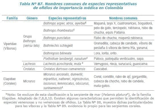 Ofidios de importancia médica en Colombia