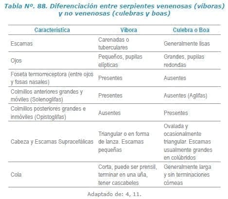 Diferenciación entre serpientes venenosas (víboras) y no venenosas (culebras y boas)