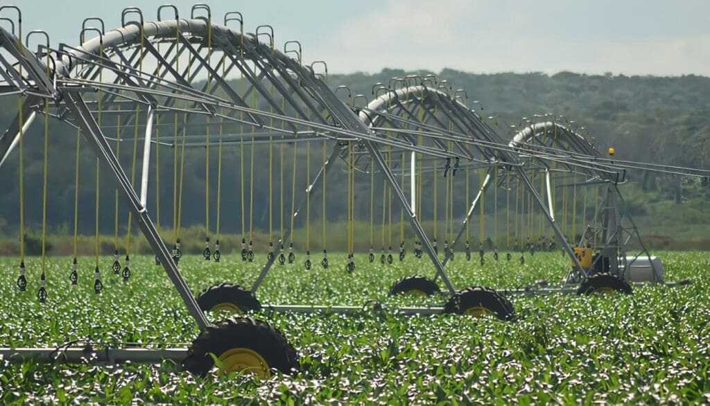 Agricultura Industrial