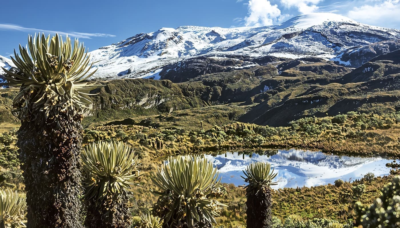 Ecosistemas en Colombia