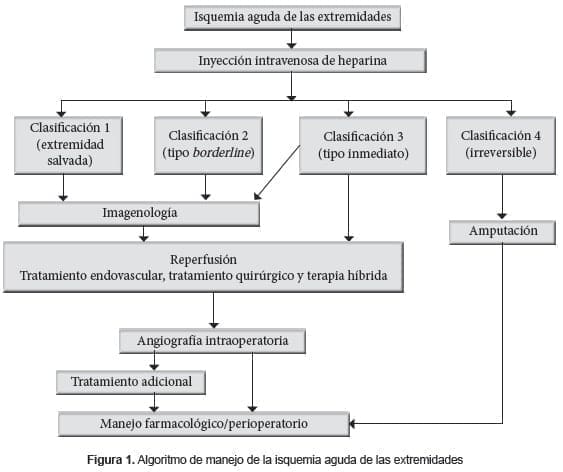 Isquemia aguda de las extremidades Isquemia aguda de las extremidades