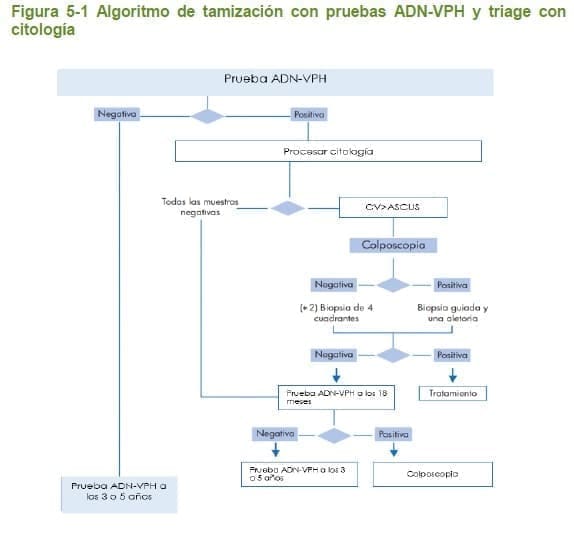 Pruebas ADN-VPH y triage con citología