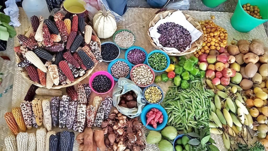 Agrobiodiversidad