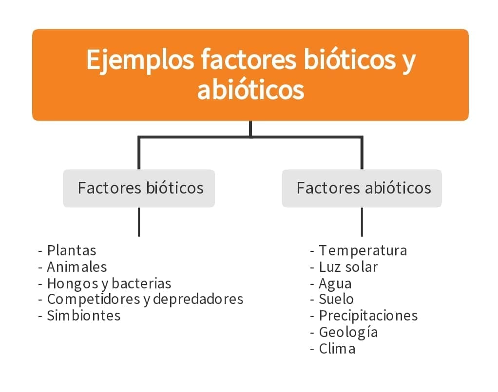 Ejemplos factores bióticos y abióticos