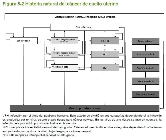 Historia natural del cáncer de cuello uterino