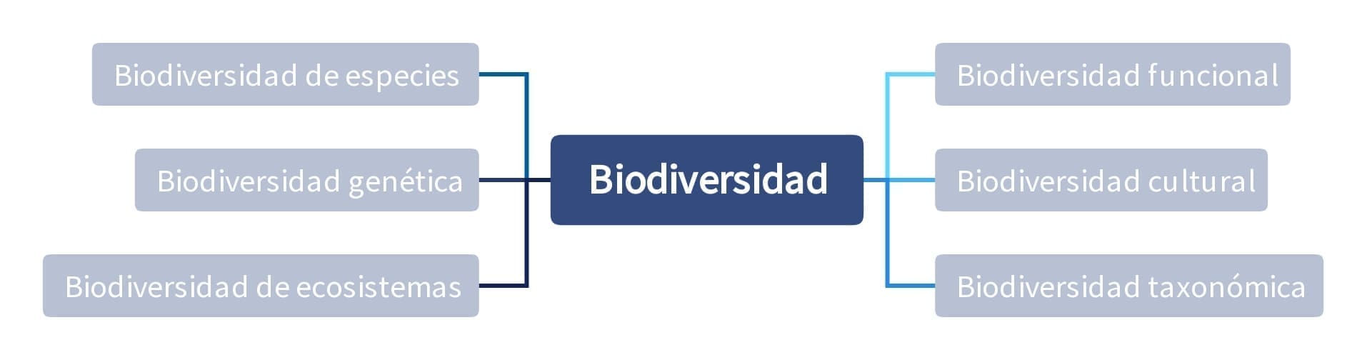 Biodiversidad