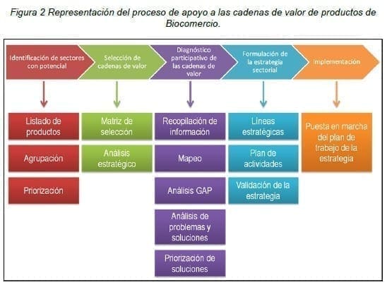 Cadenas de valor de productos de Biocomercio Cadenas de valor de productos de Biocomercio