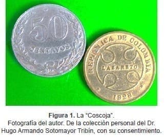 La Coscoja La Coscoja