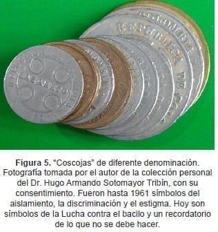 Coscojas de diferente denominación Coscojas de diferente denominación