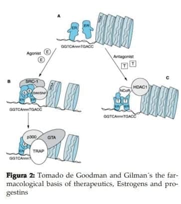 Estrogens and progestins Estrogens and progestins