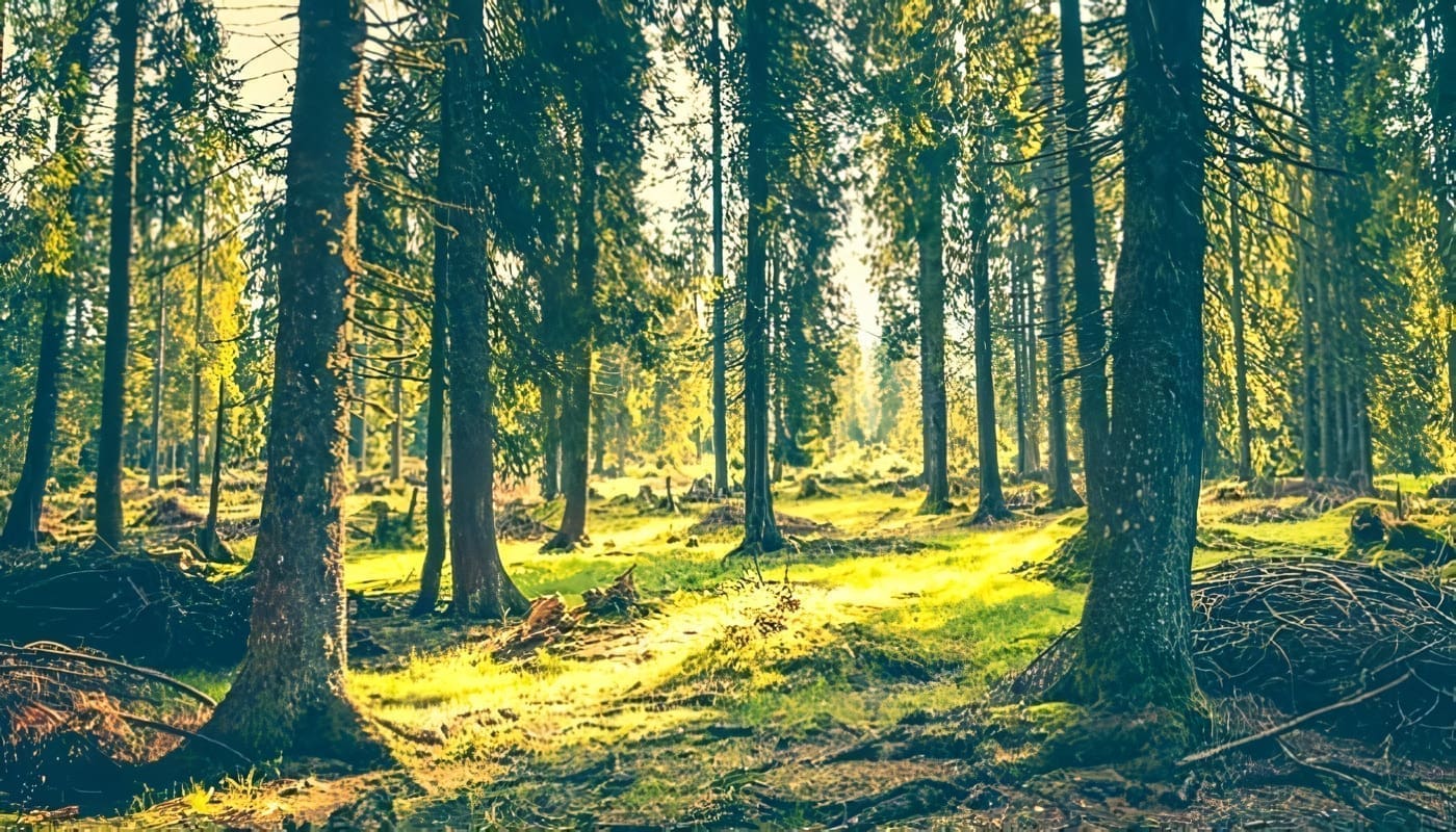 Mural: Homenaje a la Medicina Nacional