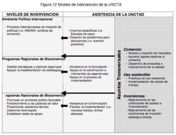 Niveles de Intervención de la UNCTA