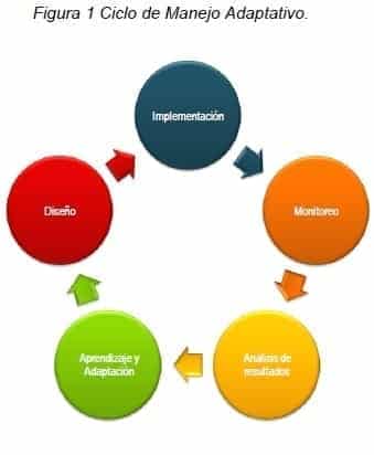 Enfoques de Biocomercio - Ciclo de Manejo Adaptativo Enfoques de Biocomercio - Ciclo de Manejo Adaptativo