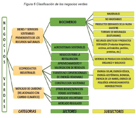 Clasificación de los negocios verdes Clasificación de los negocios verdes