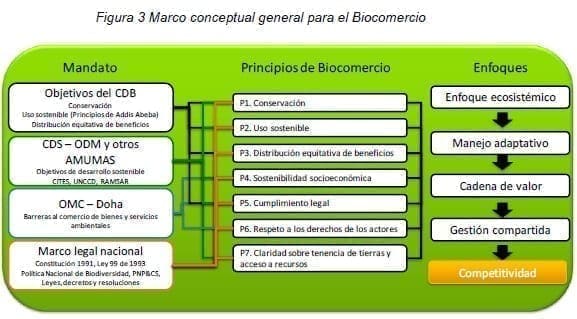 Marco conceptual general para el Biocomercio Marco conceptual general para el Biocomercio