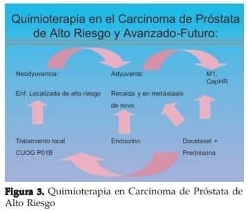  Quimioterapia en Carcinoma de Próstata de Alto Riesgo