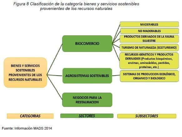 Servicios sostenibles provenientes de los recursos naturales Servicios sostenibles provenientes de los recursos naturales