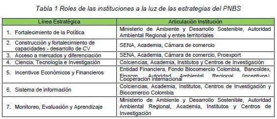 Roles de las instituciones a la luz de las estrategias del PNBS Roles de las instituciones a la luz de las estrategias del PNBS