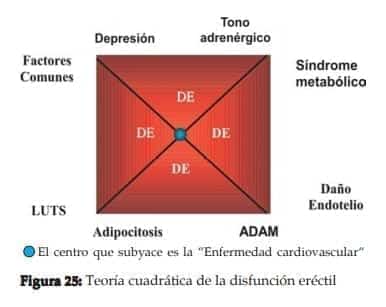Teoría cuadrática de la disfunción eréctil Teoría cuadrática de la disfunción eréctil