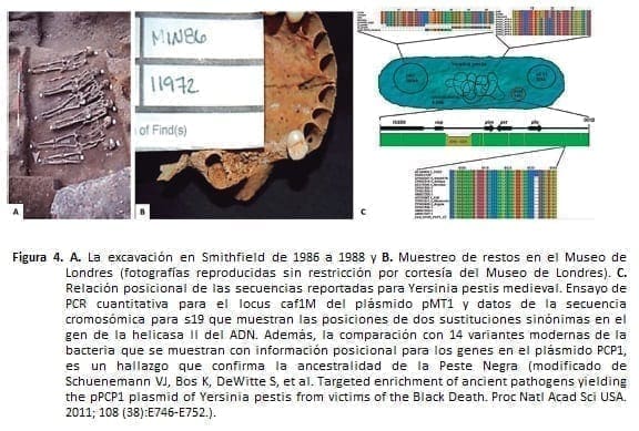 excavación de Smithfield en Londres