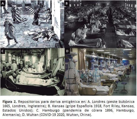 Cuatro momentos históricos para las enfermedades de masas