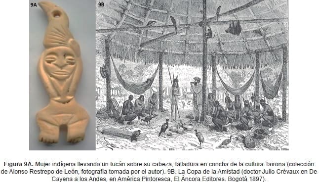 Mujer indígena llevando un tucán sobre su cabeza Mujer indígena llevando un tucán sobre su cabeza