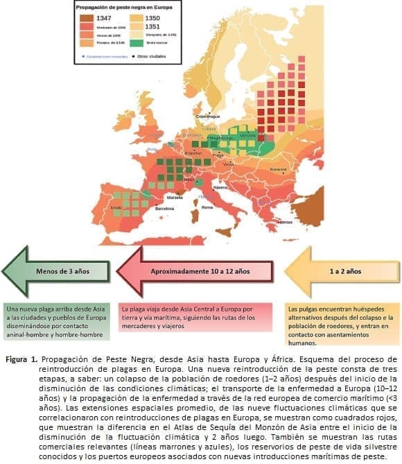 Propagación de Peste Negra