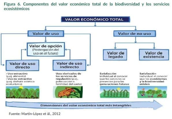 Valor Económico Total