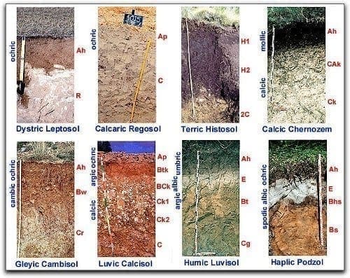 Tipos-de-suelos
