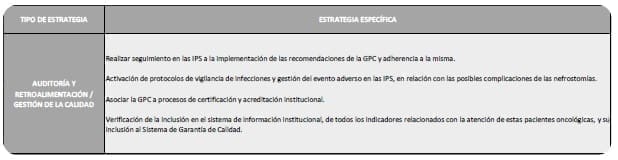Cáncer de cuello uterino invasivo Auditoría y retroalimentación