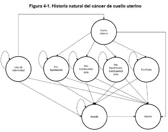 Historia natural del cáncer de cuello uterino Historia natural del cáncer de cuello uterino