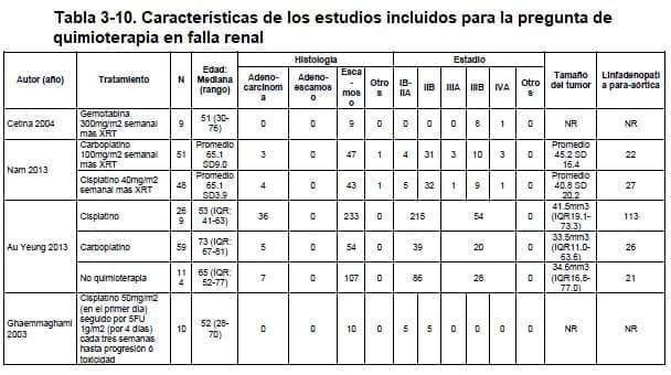 Quimioterapia en falla renal