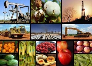 actividades economicas caracteristicas