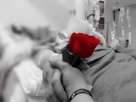 Color de sentimientos