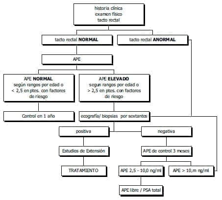 Examen Físico Tacto Rectal Examen Físico Tacto Rectal