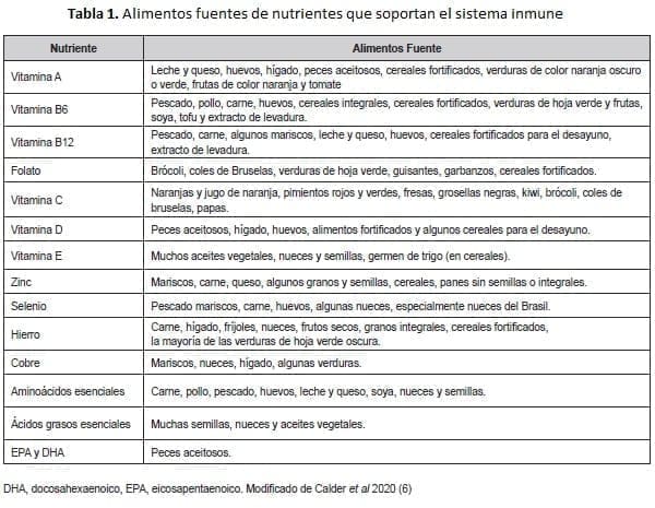 Alimentos fuentes de nutrientes que soportan el sistema inmune Alimentos fuentes de nutrientes que soportan el sistema inmune