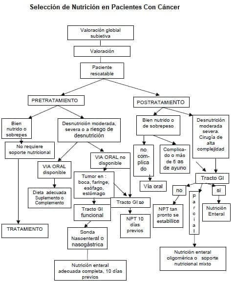 Selección de Nutrición en Pacientes Con Cáncer