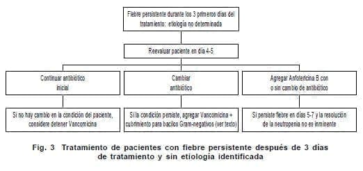 Tratamiento de pacientes con fiebre persistente después de 3 días