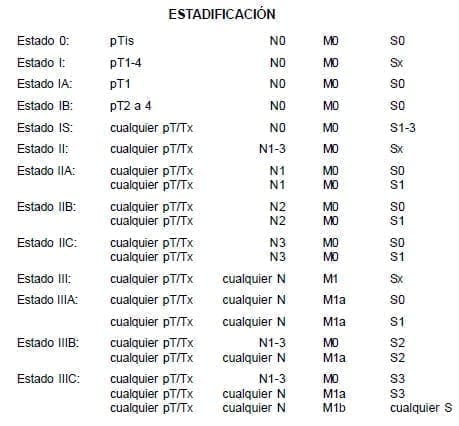 Tumores Testiculares - Estadificación