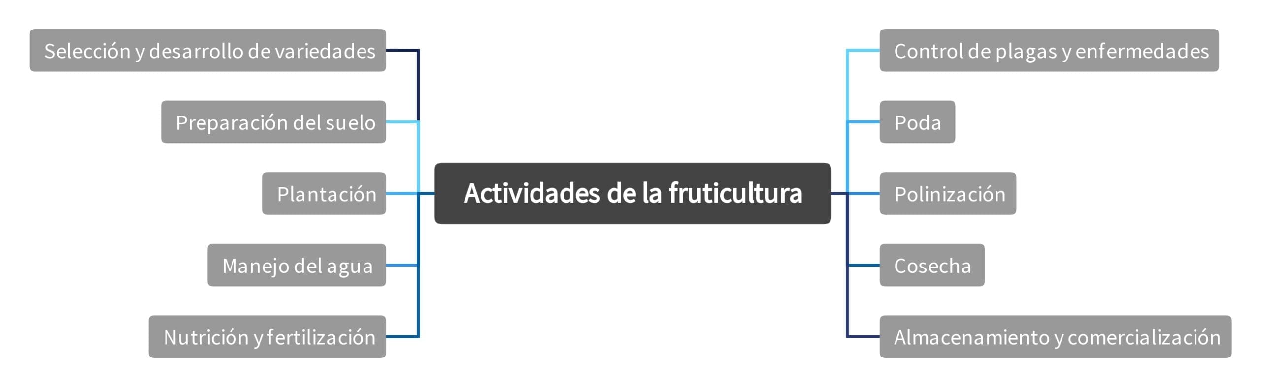 Actividades de la fruticultura