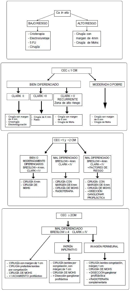 Carcinoma Escamocelular Tratamiento