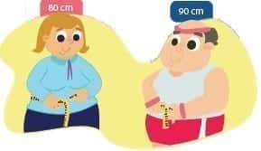 obesidad abdominal
