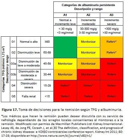 TFG y de la albuminuria para reflejar el riesgo de progresión por intensidad de color TFG y de la albuminuria para reflejar el riesgo de progresión por intensidad de color